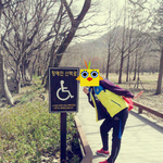 장애인<b>산책로</b>가관광지가된사연