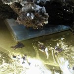 [사진 有]케이크에 돈이 뙇!!!!