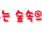 손<b>글씨</b> 왓습니다