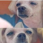 저도얼짱도전이요 ㅎㅎㅎㅎㅎㅎㅎ