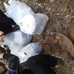 ★★★★님들 산에서 쓰레기줍다가 진짜 큰 영지<b>버섯</b> 주웠어요!