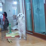 ★★★★★우리콩이를 소개합니다★★★★★