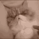 아이안돼 ~ <b>쌩얼</b>이란말이야...