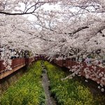 ★남자가느낀,감성의연극,,,878미터의봄◀(남산예술센터)