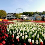 완전 맘에 드네요~ 에버랜드 갈때 꼭 들려보세요!