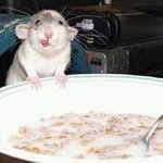 ▶여수맛집추천!!!<b>열무</b>냉면은토박이국밥집에서◀