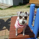 [개판]달콤 <b>살벌</b>한 꽃슈나들..^^