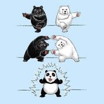 <b>팬더</b>가 생겨난 이유!!!!!!!!!!!