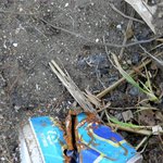 ★★사진,빡침有재석진짜짱)우리집 이렇게만든사람을 공개수배함★★