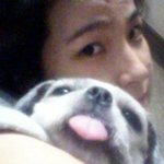 혀 내밀고 사는 우리 강아지 똘망이 ㅎㅎ