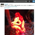 엠블랙 <b>미르</b>  방에서 뱀 기르네요 ㅠ