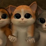 벌레공포증과 벌레에 관한 <b>내실</b>화ㅠㅠㅠ