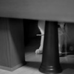 사진有//다섯 냥과 우왕집사의 럽 스토리♡ -1탄