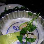 <b>미나리</b>에 거머리나오는게 당연한거임?