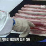 삼겹살이 황사에 좋다는 말의 진실과 거짓!