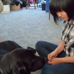 ★(사진多多多)중삼이의 미국생활기^^(15)★-보스턴여행!