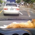 나비게<b>이션</b>ㅋㅋㅋㅋㅋㅋ