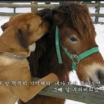 스마트폰 살 때 <b>유의</b>해주세요!!!!