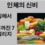 (반전) <b>인체</b>의 신비