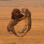 ▣영화[배틀쉽],기존<b>SF</b>들과차이점 전격분석▣