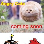 ★★앵그리 <b>캣츠</b>