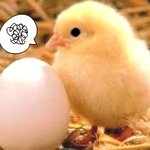 계란 프라이나 삶은 달걀 먹을때 이런 생각 해보셨나요?