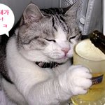 ★ 자주 쏘는사람 바보 만들기. ★