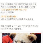 "오늘 <b>분양</b>이 안되면 저는 죽습니다."  (펌)