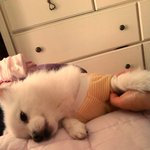 ※<b>스노</b>쿨링의종결,아프리카자유여행하고왔습니다(후기+사진)