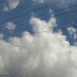 사진스크롤<b>압박</b>주의) 공원에서 시간떼우는법
