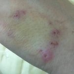 ▶▶국밥안사준다고폭행,욕설하는무개념아줌마◀◀