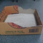 울 사무실 냥냥씨