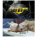 현대판 <b>마루</b>타