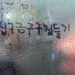 창서<b>나방</b>귀용님