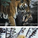 ☆★세상에서 제일 <b>포근</b>한 곳★☆