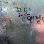 꽃단<b>엔젤</b>님