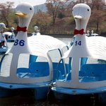 ■▶저는,조직깡패입니다10편★사진有실화◀■