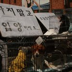 어디 있나요