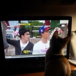 길냥이 아리쒸의 가정집 정ㅋ벅ㅋ기