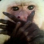 <b>체대</b>의 기합.... 정말 이대로는 안돼요..