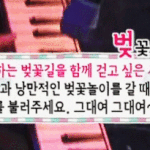 버스커버스커짤방출+벚꽃축제가여 (스압유유)