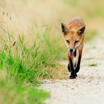 <b>츄</b><b>르</b>릅촤뢉촤랍촵촵츄르르르르륵릅하앍하앍더위사냥하앜하앜