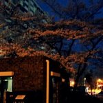 훈남동생의 포토실력 (사진첨부 )