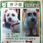 제발 한번만 봐주세요 친절한 네이트 톡커 여러분들...........