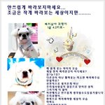 <b>한쪽눈</b>으로 세상을 바라봐야 하는 꼬맹이에게 힘이 되어주세요~~!...
