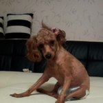 (사진有) ★공순이★ 신랑님,친구님 구해염!