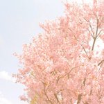 ★★★★빠x바x트 앞에서 <b>우산</b> 감사했어요 ㅎㅎ ★★★★★★★★★