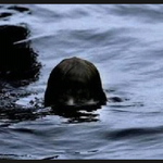 ★★ 무서운 도시괴담 1탄 ★★(놀람주의)