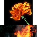 <b>불의</b> 변신