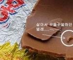 오징어땅콩이랑에그몽초코릿속에 벌레가..?